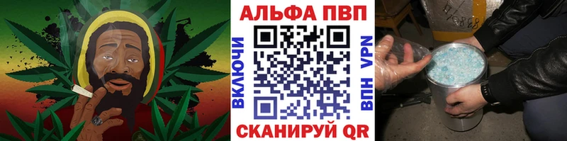 Альфа ПВП СК КРИС  Луза 
