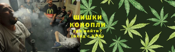 дживик Балахна