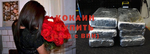 дживик Балахна