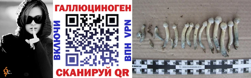 Псилоцибиновые грибы мицелий  Луза 